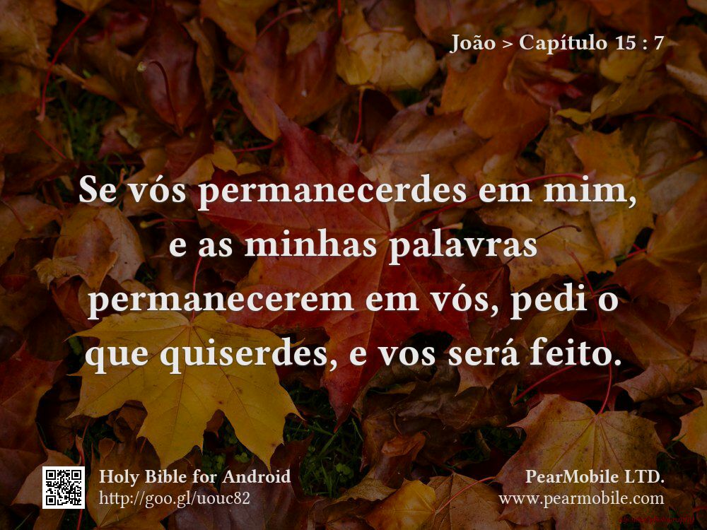 João, Capítulo 15:7